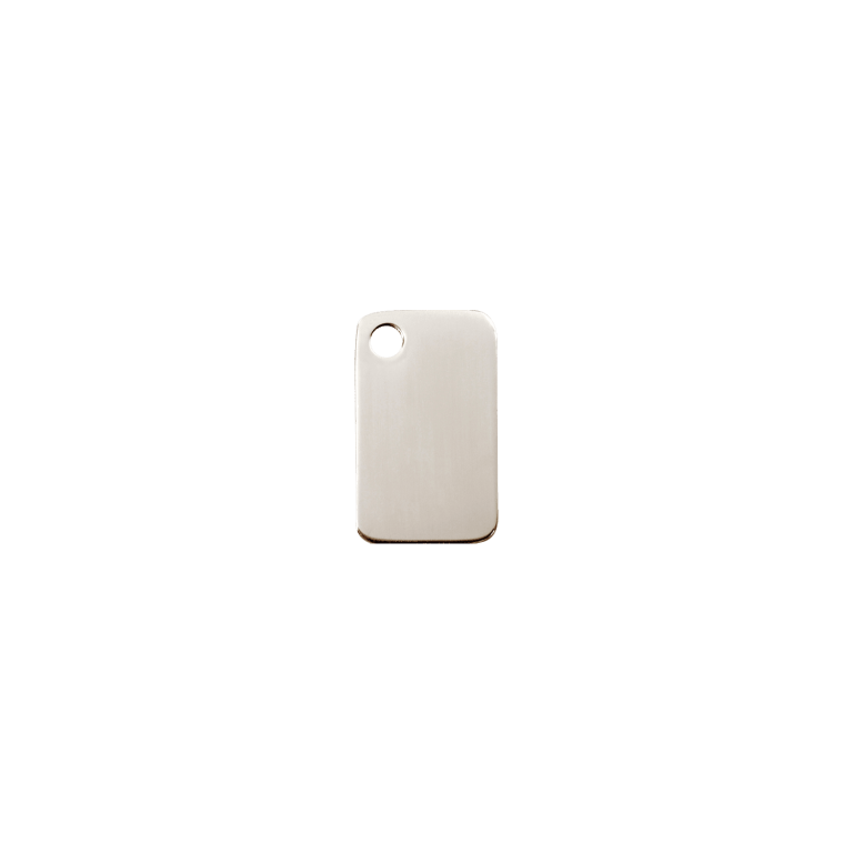 Vue avant - Médaille personnalisable pour chat Red Dingo en acier inoxydable - Größe S - Référence : 02-RT-ZZ-SM