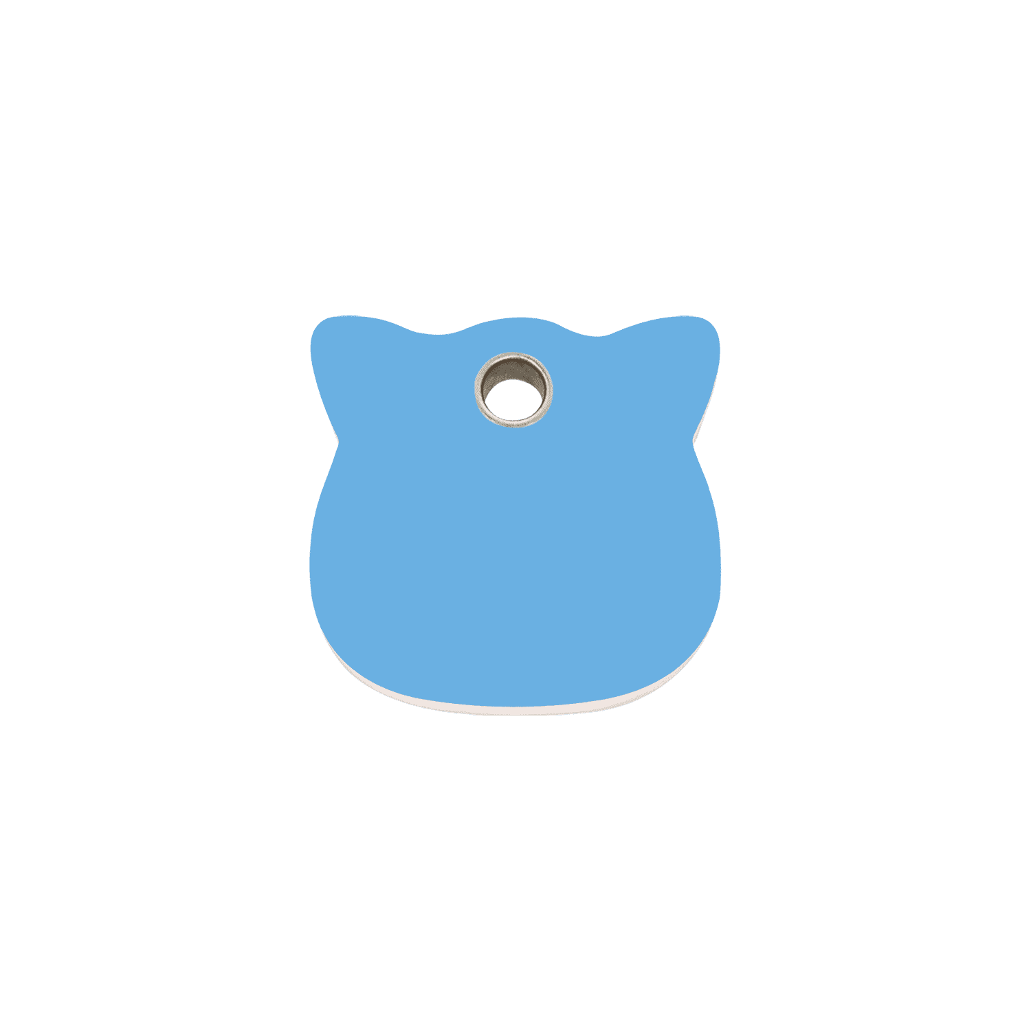 Vue avant - Médaille personnalisable pour chat Red Dingo - Plastique plat bleu clair - Größe S