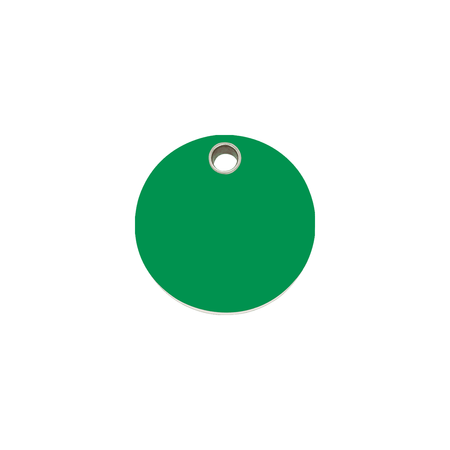 Vue avant - Médaille personnalisable pour chien/chat Red Dingo - Plastique plat vert - Größe S - Gravure incluse