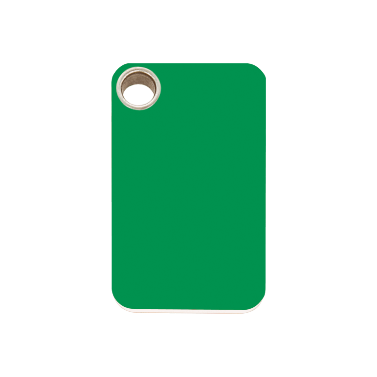 Vue avant - Médaille personnalisable pour chien - Red Dingo - Plastique plat vert - Größe M