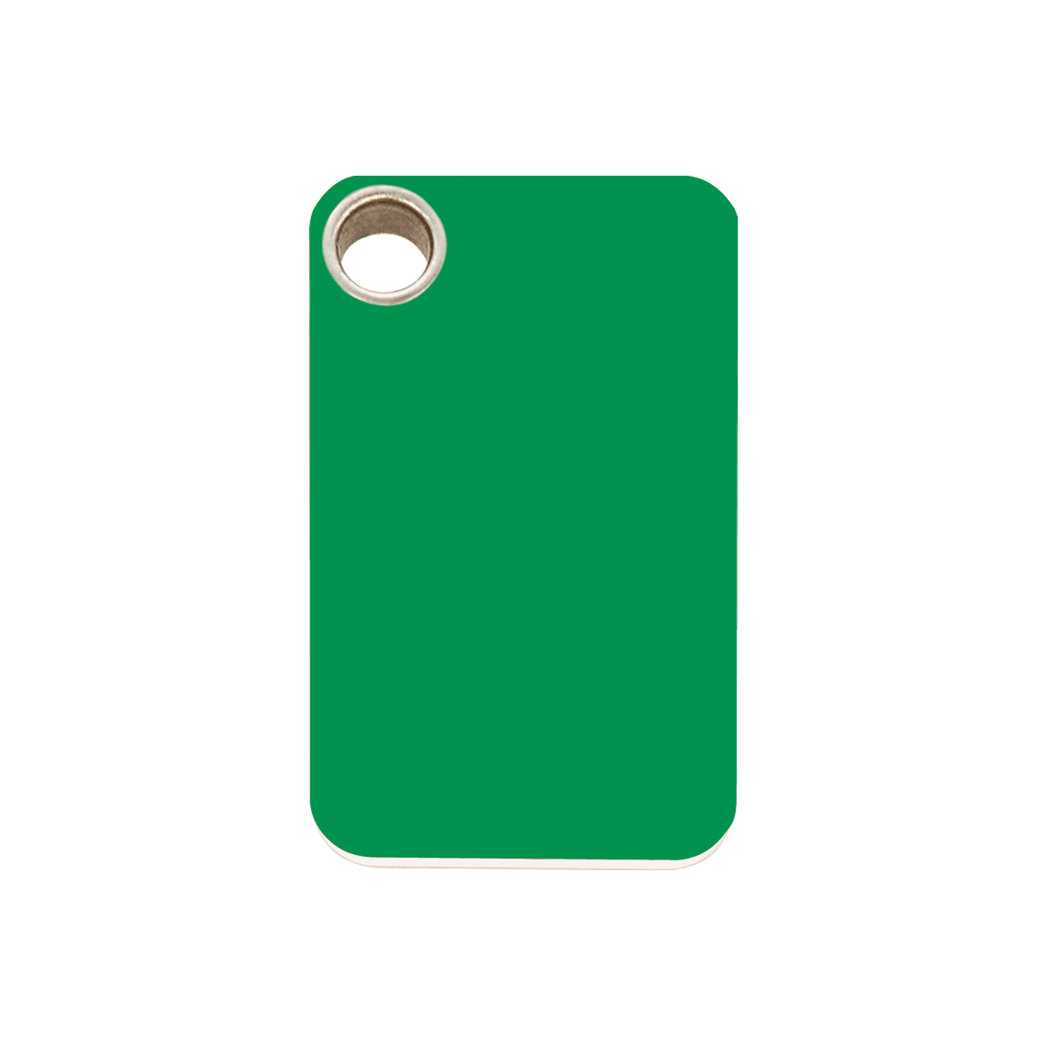 Vue avant - Médaille personnalisable pour chien - Red Dingo - Plastique plat vert - Größe M