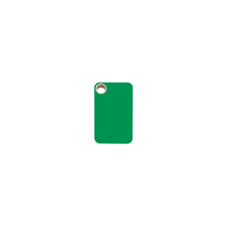 Vue avant - Médaille personnalisable pour chien/chat Red Dingo vert S - gravure incluse