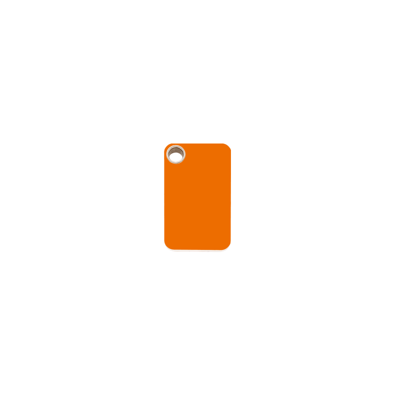 Vue avant - "Médaille personnalisée Red Dingo Orange S pour chat - Gravure incluse"