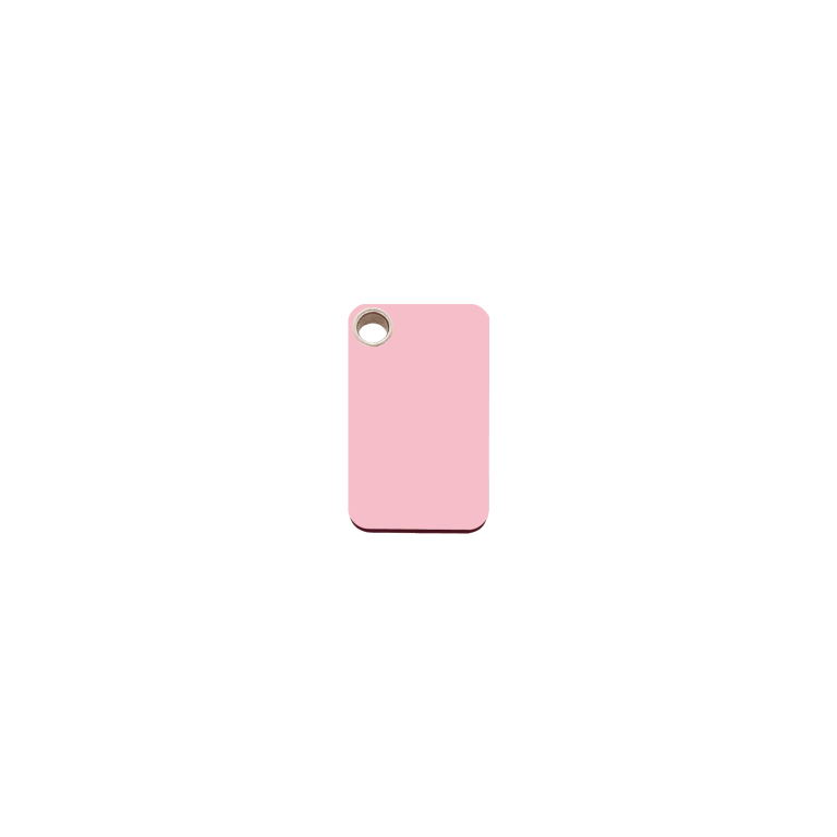 Vue avant - Médaille personnalisable pour chat Red Dingo rose en plastique plat - Größe S